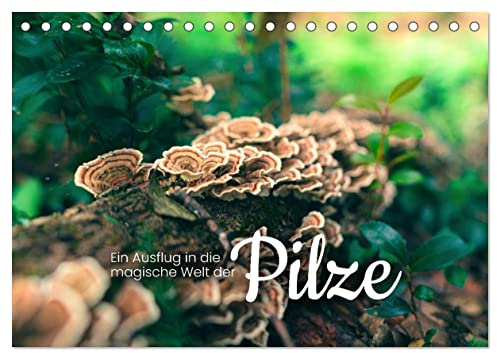 Ein Ausflug in die magische Welt der Pilze (Tischkalender 2026 DIN A5 quer), CALVENDO Monatskalender: Weder Gemüse noch Tier. (CALVENDO Natur)