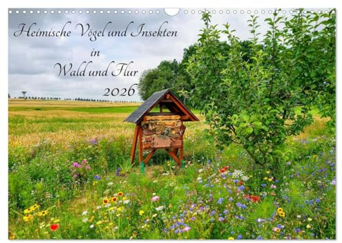 Heimische Vögel und Insekten in Wald und Flur (Wandkalender 2026 DIN A3 quer), CALVENDO Monatskalender: Farbenfrohe sächsische Flora und Fauna (CALVENDO Tiere)
