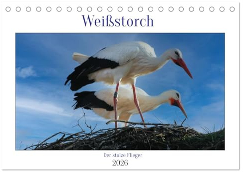 Weißstorch, der stolze Flieger (Tischkalender 2026 DIN A5 quer), CALVENDO Monatskalender: Ein prachtvoller Vogel als Glücksbringer. (CALVENDO Tiere)