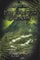 Das Erbe von Grüenlant: Buch 3 + 4: Schwarzes Land. Letzte Entscheidung.: Band 3 + 4