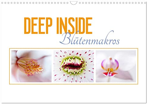 DEEP INSIDE - Blütenmakros (Wandkalender 2026 DIN A3 quer), CALVENDO Monatskalender: Tief eintauchen in die farbenprächtige Welt der Blüten. (CALVENDO Natur)
