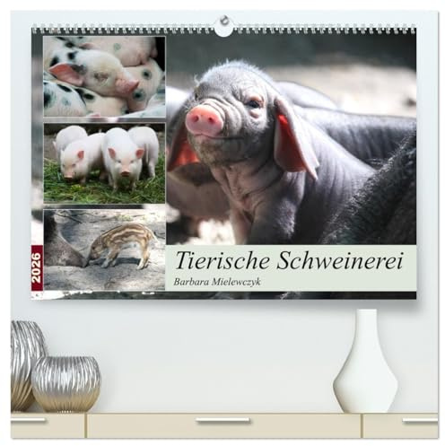 Tierische Schweinerei (hochwertiger Premium Wandkalender 2026 DIN A2 quer), Kunstdruck in Hochglanz: Schweine findet man als Haustiere - aber auch als Wildtiere. (CALVENDO Tiere)