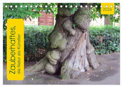 Zauberhaftes, die Natur als Künstler (Tischkalender 2026 DIN A5 quer), CALVENDO Monatskalender: Baum, Strauch und Co. (CALVENDO Natur)