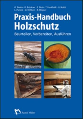 Praxis-Handbuch Holzschutz: Beurteilen, Vorbereiten, Ausführen