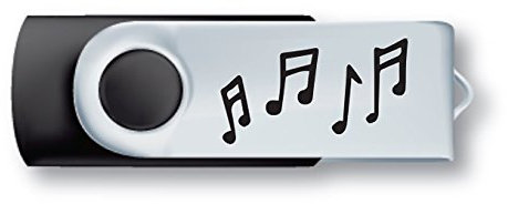 Clé USB 8 Go, Noir et Acier chromé, pivotant, avec Notes de Musique dessinées, Cadeau de Musique