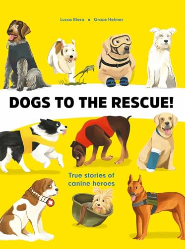 HarperCollins Children's Books