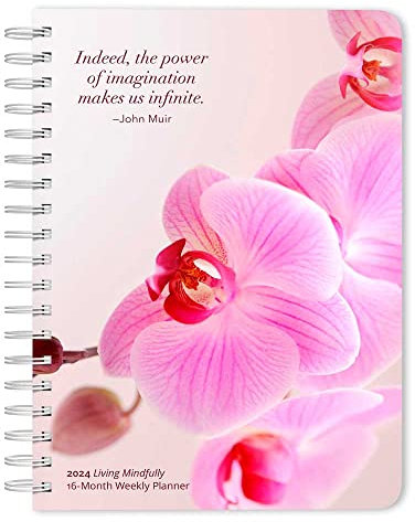 Mindful Living 2024 Karma Planner Brush Dance