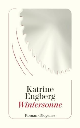 Wintersonne: Der Kopenhagen-Krimi (detebe)