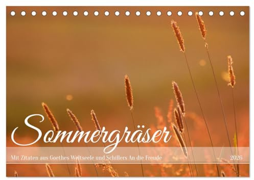 Sommergräser (Tischkalender 2026 DIN A5 quer), CALVENDO Monatskalender: Natur und Poesie im Einklang (CALVENDO Natur)