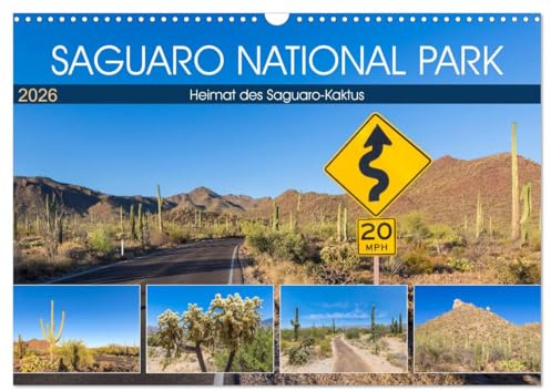 SAGUARO NATIONAL PARK Heimat des Saguaro-Kaktus (Wandkalender 2026 DIN A3 quer), CALVENDO Monatskalender: Wüstenimpressionen aus Arizona (CALVENDO Natur)