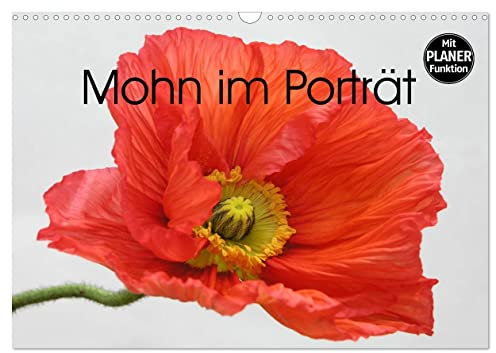 Mohn im Porträt (Wandkalender 2026 DIN A3 quer), CALVENDO Monatskalender: 1 Jahr lang Mohnblüten-Genuss (CALVENDO Natur)