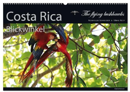 Costa Rica Blickwinkel 2026 (Wandkalender 2026 DIN A2 quer), CALVENDO Monatskalender: Costa Rica - flying bushhawks Blickwinkel Kalender (CALVENDO Orte)