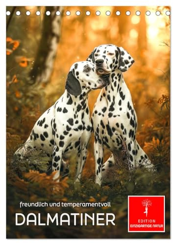 Dalmatiner - freundlich und temperamentvoll (Tischkalender 2026 DIN A5 hoch), CALVENDO Monatskalender: Unverwechselbare weiß-schwarze Fellfärbung - verbunden mit Familie und Bewegung. (CALVENDO Tiere)