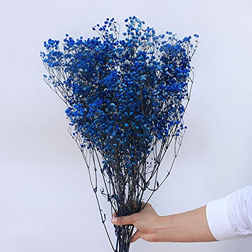 YIWOYI Natürliche Trockenblume, Schleierkraut, frisch getrocknete Blumen, Gypsophila Paniculata, Blumensträuße für Hochzeit, Party, Heimdekoration, 15 - 30 cm, 20 g, Königsblau