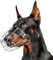 Maulkorb für Dobermann L