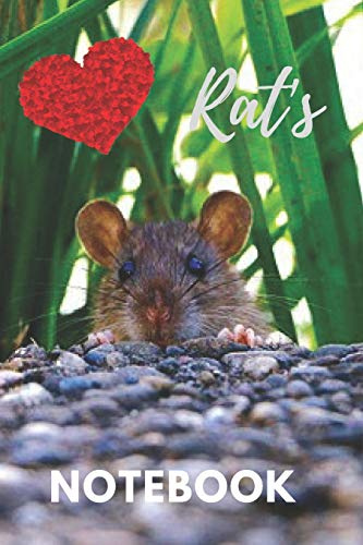 Rat Notebook: cute rats gift for children that love their pets (blank lined notebook) best for writing notes stories and ideas for home use work or as ... girls / journal for journaling / rat journal