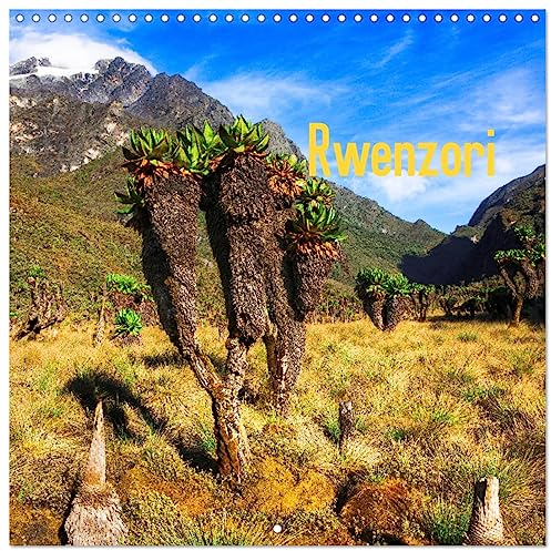 Rwenzori (Wandkalender 2024 30x30 cm 30x60 cm geöffnet) CALVENDO Broschürenkalender mit Monatskalendarium zum Eintragen