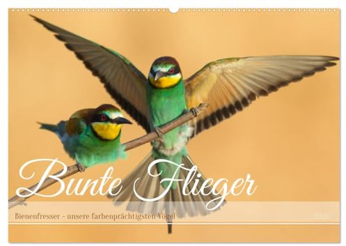 Bunte Flieger (Wandkalender 2026 DIN A2 quer), CALVENDO Monatskalender: Farbenprächtige Vögel in unterschiedlichen Szenen (CALVENDO Tiere)