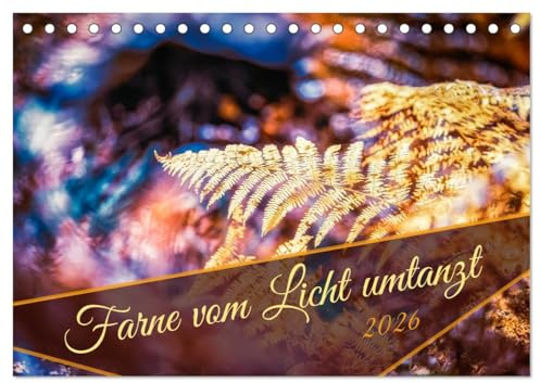 Farne vom Licht umtanzt (Tischkalender 2026 DIN A5 quer), CALVENDO Monatskalender: Farne bei verschiedenen Lichtstimmungen (CALVENDO Natur)