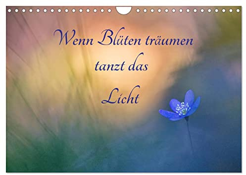 Wenn Blüten träumen tanzt das Licht (Wandkalender 2026 DIN A4 quer), CALVENDO Monatskalender: Zauberhafte Begegnungen mit zarten Blüten und traumhaften Lichtsituationen. (CALVENDO Natur)