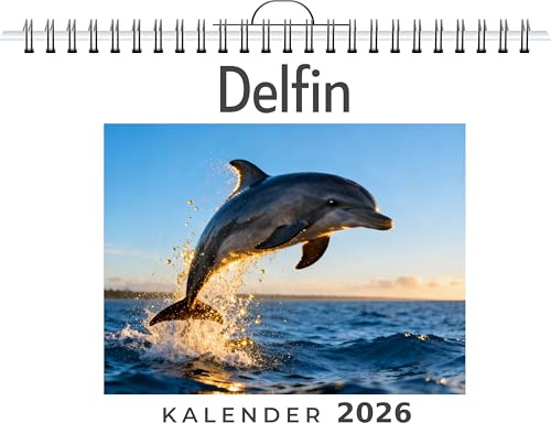 Delfin: Wandkalender 2026, Kalender DIN A4 quer, Monatskalender im Querformat mit Kalendarium, das perfekte Geschenk