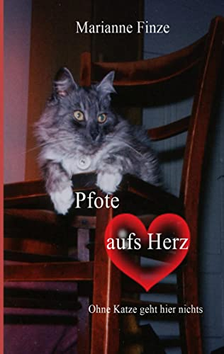 Pfote aufs Herz: Ohne Katze geht hier nichts – eine Tierbiografie