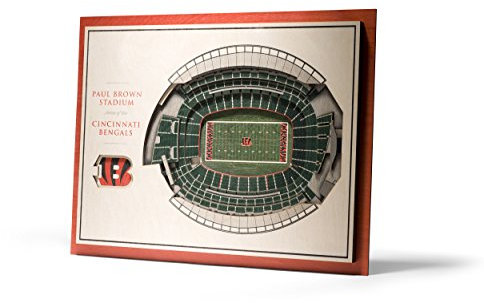YouTheFan NFL 5-Layer 17x13 StadiumViews 3D Wandbild Cincinnati Bengals