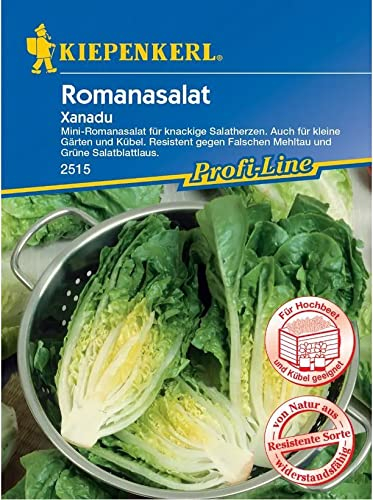 Kiepenkerl 2515 Mini-Romanasalat Xanadu, für knackige Salatherzen, auch für kleine Gärten und Kübel, resistent gegen Falschen Mehltau