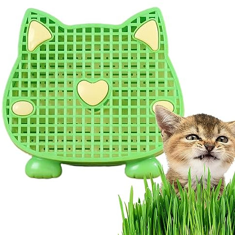 Hailerio Cat Grass Planter Cat Grass Planter Tray Cat Grass Planter Tray Cat Grass Box Planter Pet Sprout Dish Growing Pot For Indoor Cats 15x13.6cm