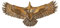 DUOLAIYUNSO Bronzefigur, reines Messing, fliegender Adler, Schraubniete, Knopf, Ledertasche, Geldbörse, Ketten, Kleidung, dekorativ, Punk, Vintage, Gürtelschnalle, Verbindungsstück, 7 x 3 cm