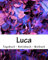 Tagebuch - Notizbuch - Malbuch - Vorname Luca: Namensbuch, 100 Seiten, männlicher Name Luca
