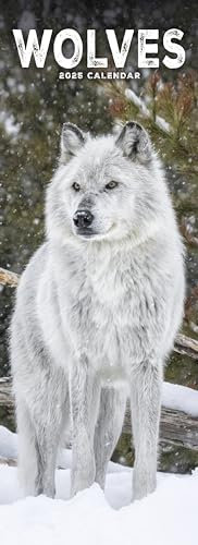 Wolves – Wölfe 2025: Original Avonside-Kalender – Slimline [Mehrsprachig] [Kalender] (Slimline-Kalender)