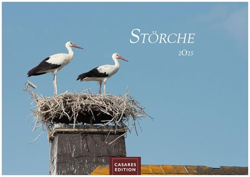 Störche 2025 S 24x35cm