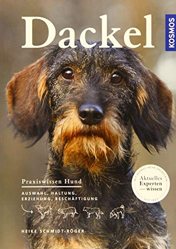 Dackel: Praxiswissen Hund Auswahl, Haltung, Erziehung, Beschäftigung