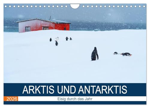 Arktis und Antarktis - Eisig durch das Jahr (Wandkalender 2026 DIN A4 quer), CALVENDO Monatskalender: Monatskalender mit sehenswerten Orten in Arktis und Antarktis (CALVENDO Orte)