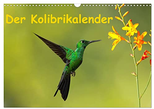Der Kolibrikalender (Wandkalender 2026 DIN A3 quer), CALVENDO Monatskalender: Atemberaubende Aufnahmen von Kolibris aus Costa Rica (CALVENDO Tiere)