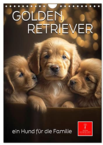 Golden Retriever - ein Hund für die Familie (Wandkalender 2026 DIN A4 hoch), CALVENDO Monatskalender: Der Golden Retriever - ein intelligenter und liebenswerter Begleiter (CALVENDO Tiere)
