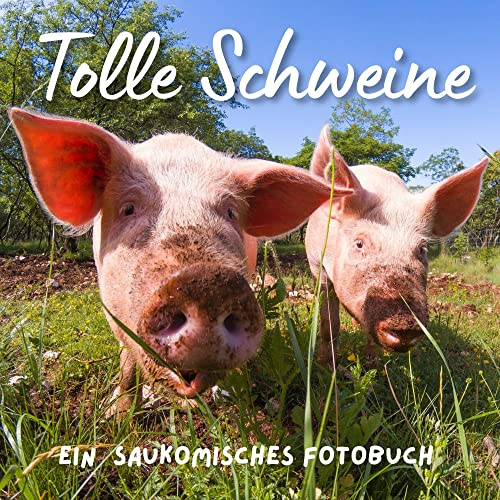Tolle Schweine: Ein saukomisches Fotobuch. Das perfekte Geschenk für Bauern, Männer oder Frauen für Weihnachten und zum Geburtstag