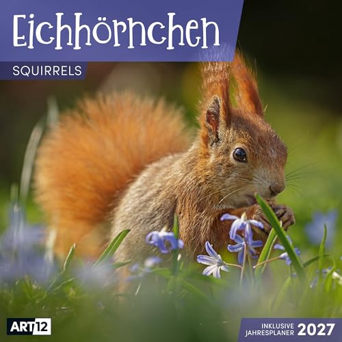 Eichhörnchen Broschürenkalender 2027 - 30x30 - Art12 | Niedlicher Tier-Kalender im schlanken Hochformat (aufgeklappt 30x60 cm) | Eintrage-Kalendarium
