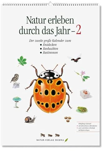 Natur erleben durch das Jahr - 2: Der zweite große Kalender zum Entdecken, Beobachten, Bestimmen
