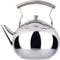 HirrWill Théière de 2 litres avec infuseur pour thé en vrac, bouilloire en acier inoxydable, 8 tasses à induction, pour faire bouillir de l'eau chaude, finition miroir, 2,1 l,