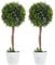 HOMCOM Künstliche Lavendel 2er-Set groß 60 cm Kunstpflanze, künstliche Pflanzen im Topf, Plastik Kunstblume wie echt für Wohnzimmer Schlafzimmer Büro Garten Moderne Dekoration