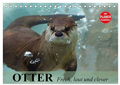 Otter. Frech, laut und clever (Tischkalender 2025 DIN A5 quer), CALVENDO Monatskalender
