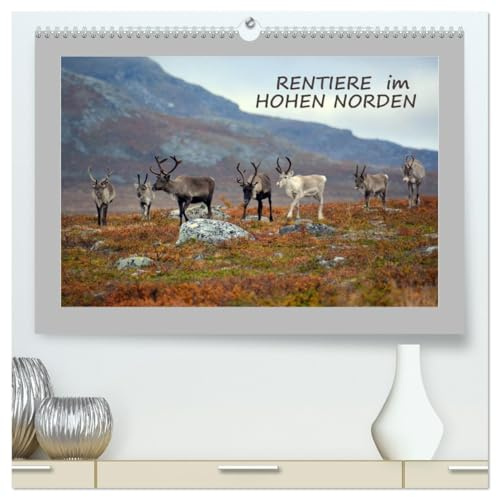 Rentiere im Hohen Norden (hochwertiger Premium Wandkalender 2026 DIN A2 quer), Kunstdruck in Hochglanz: Faszinierende Bilder frei lebender Rentiere (CALVENDO Tiere)
