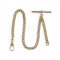 Rapport Taschenuhr Kette Schlepplift Gold