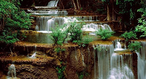 ZZXSY Puzzle 1000 Teile Erwachsene Waldwasserfall-Naturlandschaft Geeignet Für Erwachsene