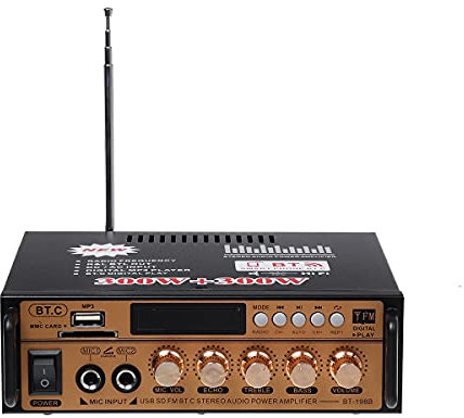 YONGYAO 12V 220V Mini Leistungsverstärker Lautsprecher Leistungsverstärkerkarte U Disk Radio