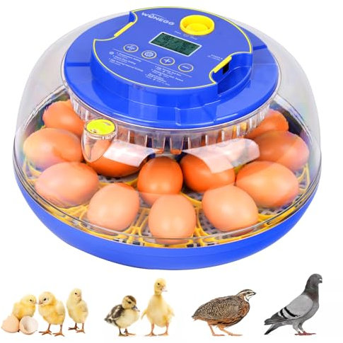 18 Eier Inkubator, Inkubator Mit Automatischer Ei-Dreh-Feuchtigkeitskontrolle, Inkubatoren FüR Das SchlüPfen Von Eiern, Huhn, Enten, Gans, Taube, Wachtel, Papagei-Inkubator FüR Bauernhof, Labor