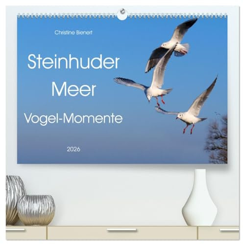 Steinhuder Meer, Vogel-Momente (hochwertiger Premium Wandkalender 2026 DIN A2 quer), Kunstdruck in Hochglanz: Herrliche Schnappschüsse der Vogelwelt (CALVENDO Tiere)