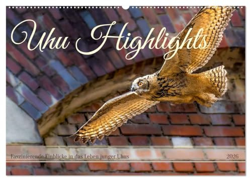 Uhu Highlights (Wandkalender 2026 DIN A2 quer), CALVENDO Monatskalender: Highlights aus dem Leben junger Uhus (CALVENDO Tiere)